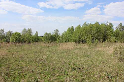 Земельный участок в д. Блознево, в окружении леса