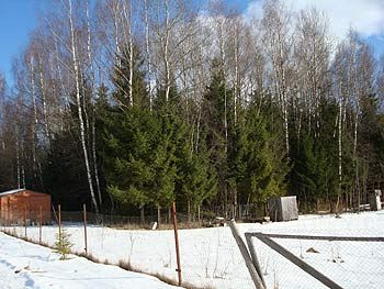 Земельный участок в СНТ Родники у д. Ступино, д. Блознево, Киевское шоссе