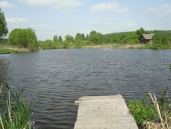 пруд в д. Ступино, Наро-Фоминский район