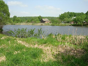 озеро в д. Ступино, Киевское шоссе
