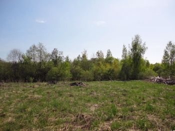 Земельный участок в д. Любаново