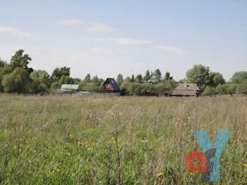 Земельный участок в деревне Паново, Московская область