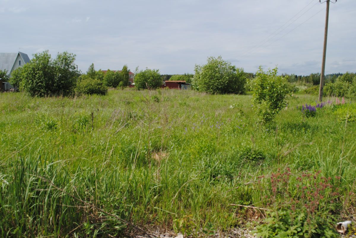 Земельный участок в деревне Ожигово, г. Москва