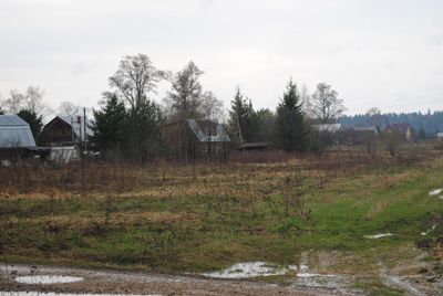 Земельный участок в д. Купелицы Наро-Фоминского района