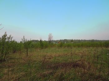 Земельный участок в д. Каменское, в Наро-Фоминском районе, Киевское шоссе