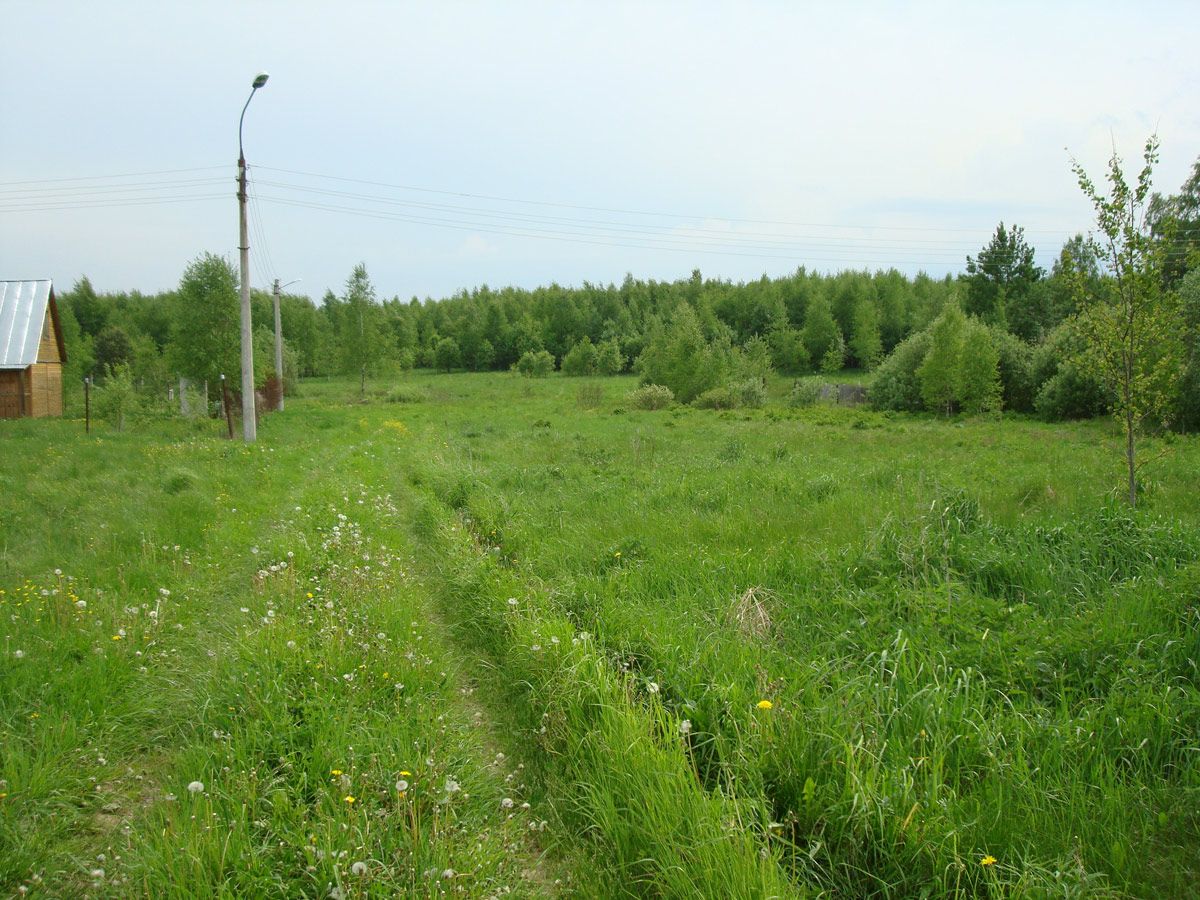 Земельный участок в д. Гуляй Гора Наро-Фоминского района