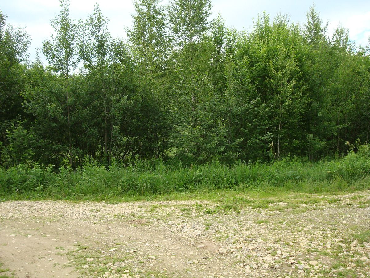 Земельный участок в СНТ Автомобилист у д. Варварино Наро-Фоминского района