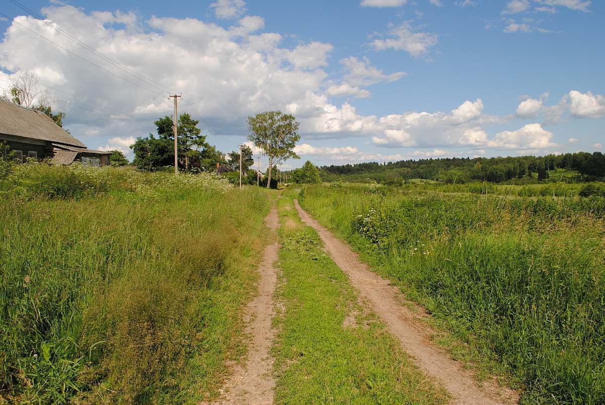 Земельный участок в д. Пафнутовка Наро-Фоминского района