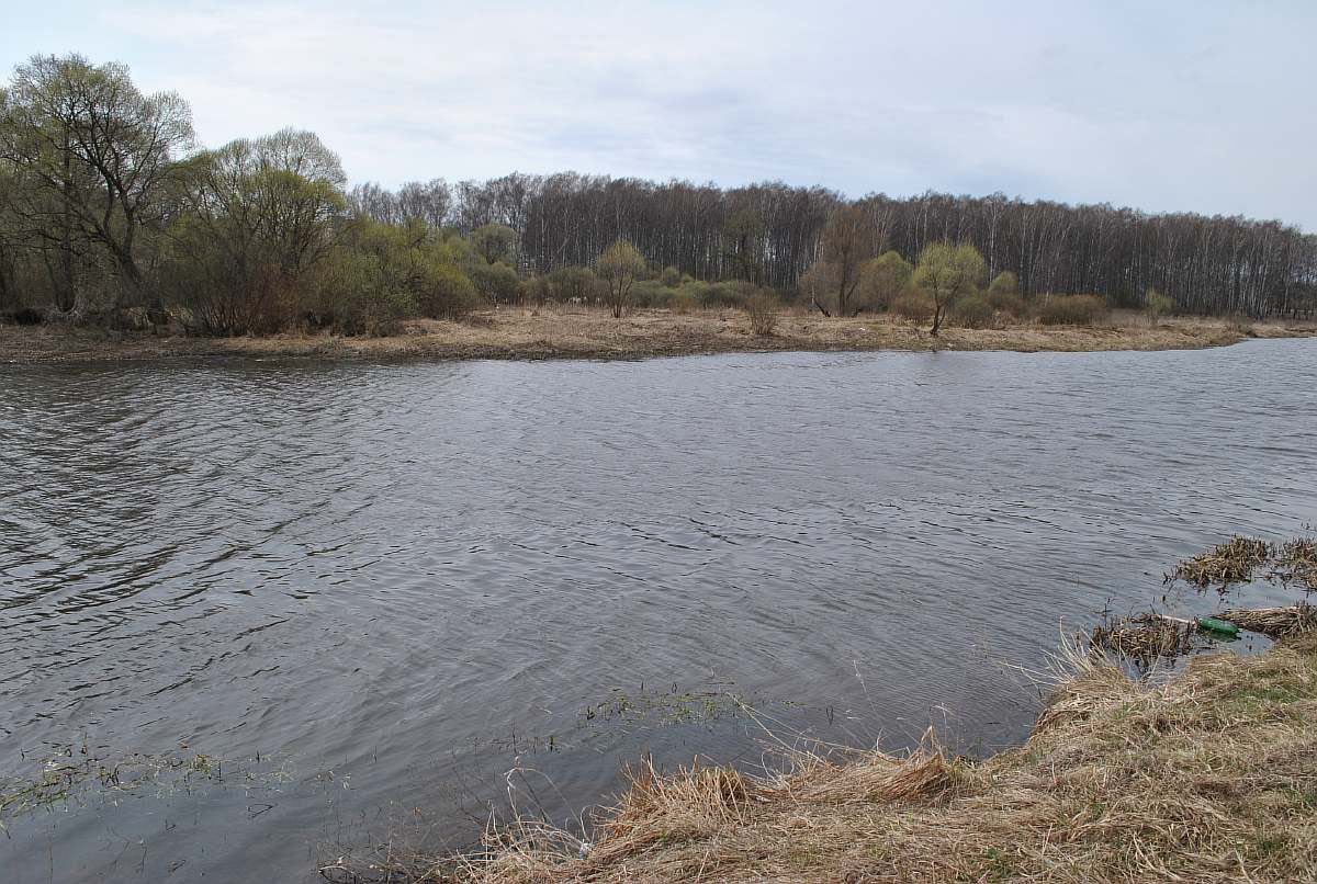 река Нара в г. Наро-Фоминске