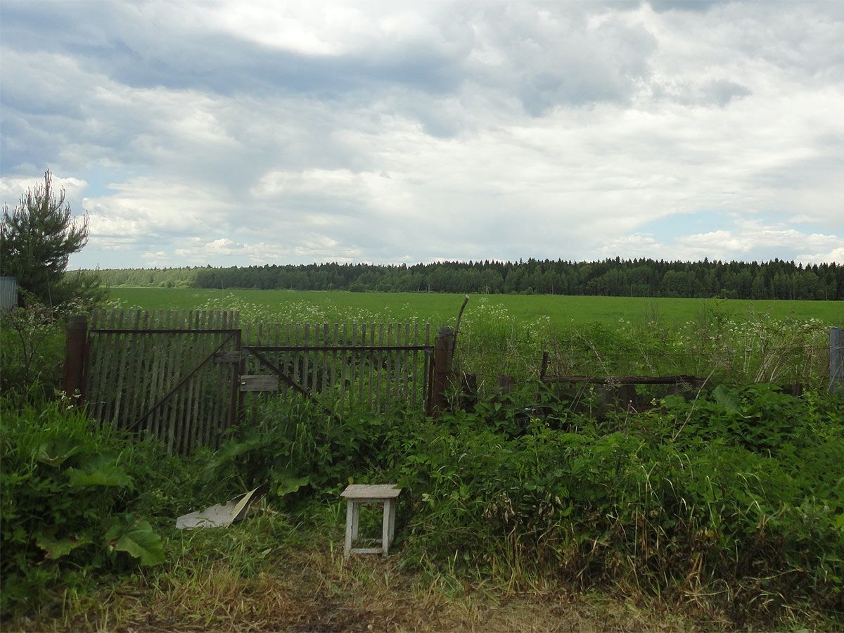 вид на поле с участка в д. Детенково