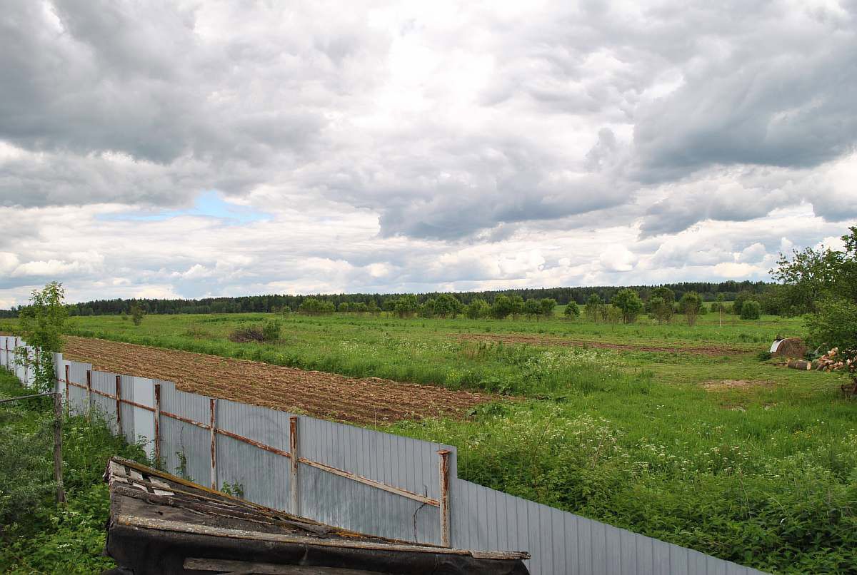 панорамный вид с участка в Коровино