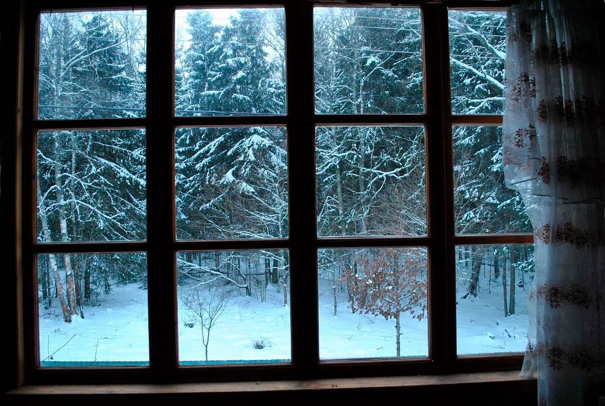 зимний лес из окна
