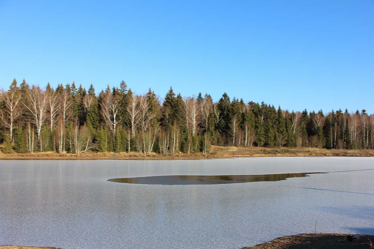 лесное озеро у д. Васильчиново