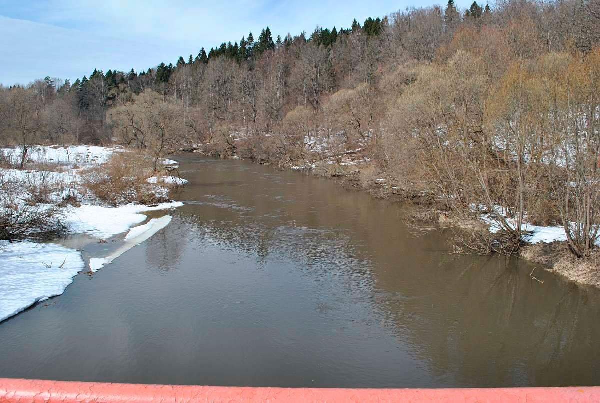 вид на реку Нара с моста у д. Чичково