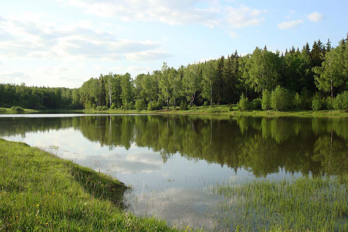 озеро у д. Васильчиново