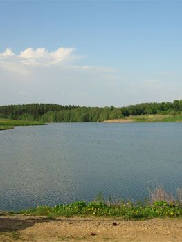 пруд в с. Каменское, Наро-Фоминский район