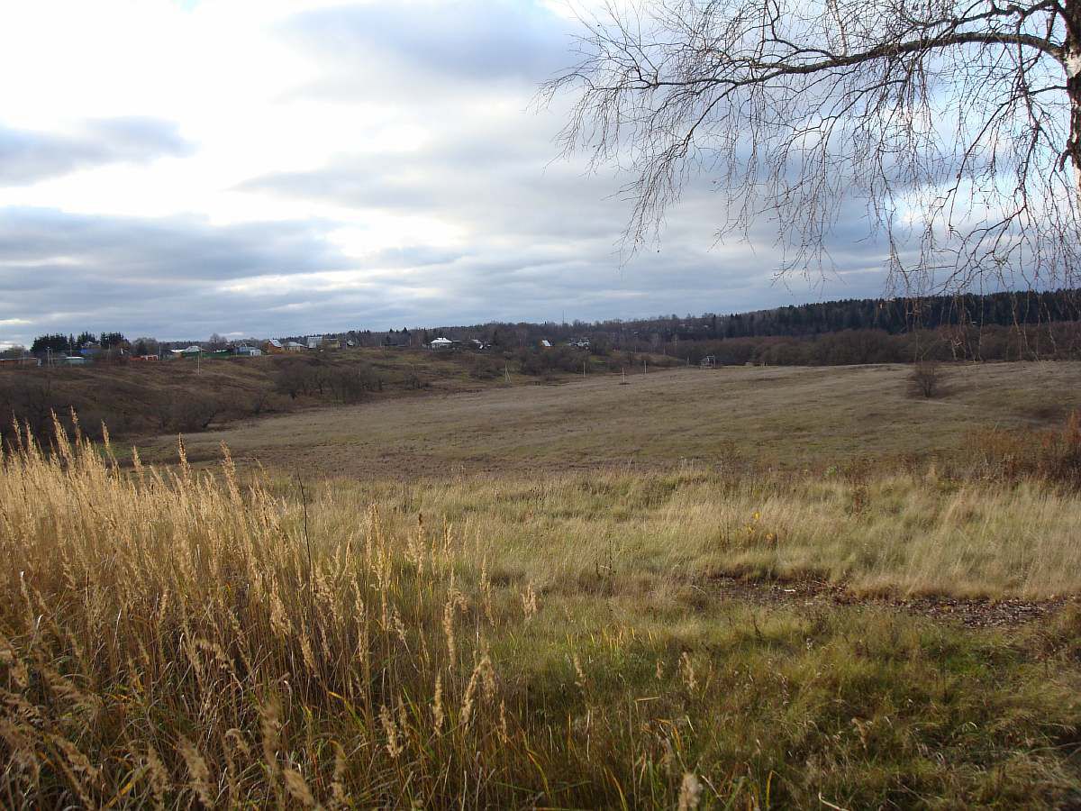 Панорамный вид с участка в д. Вышегород