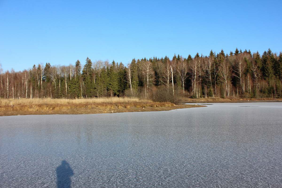 лесное озеро у д. Васильчиново