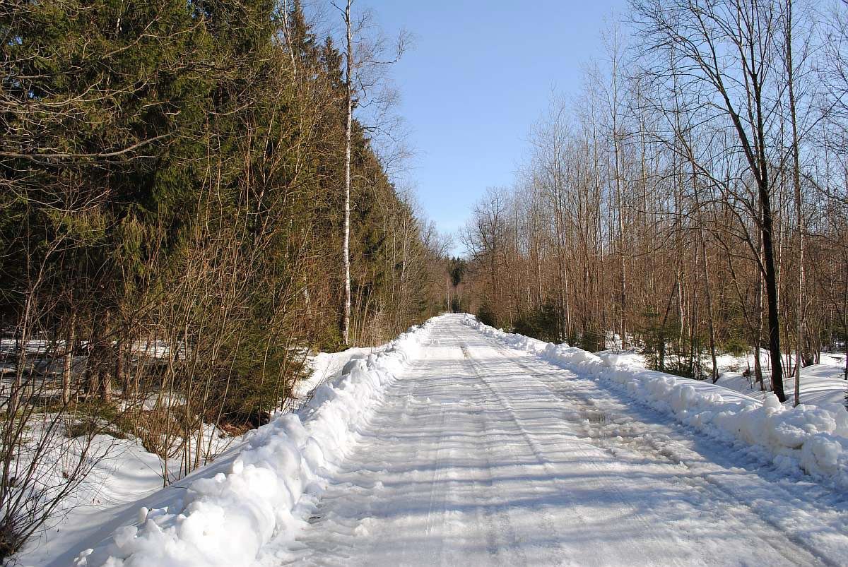зимняя дорога в СНТ Таманец