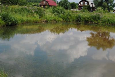 пруд в СНТ Дудкино, Наро-Фоминский район