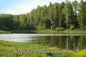 Пруд Балатон у Васильчиново