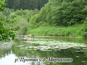 река Протва у деревни Мерчалово, Наро-Фоминский район
