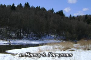 река Нара у Горчухино