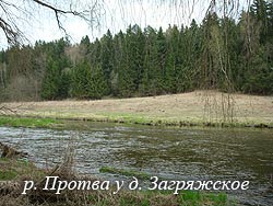 река Протва у Загряжское